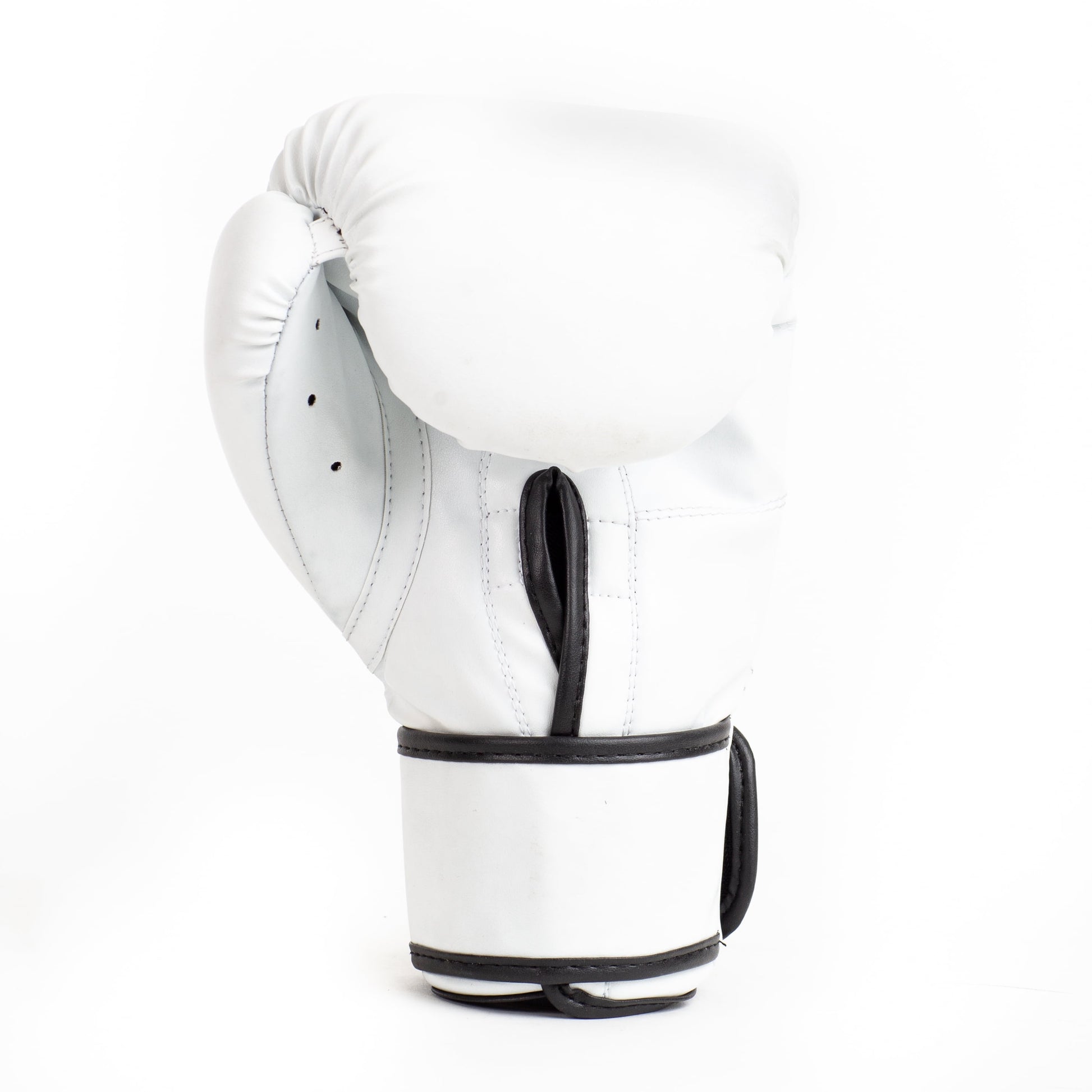 Boxing Training Gloves